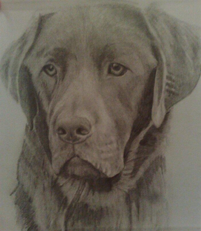 Best Friend Drawing by Susan Solak - Fine Art America