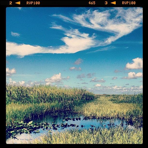 Everglades Photograph - Best Time Everrr. #everglades by Cortney Herron