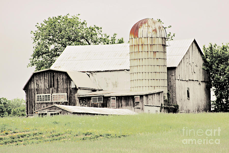 Barn Photograph - Better Days by Denise Wilkins