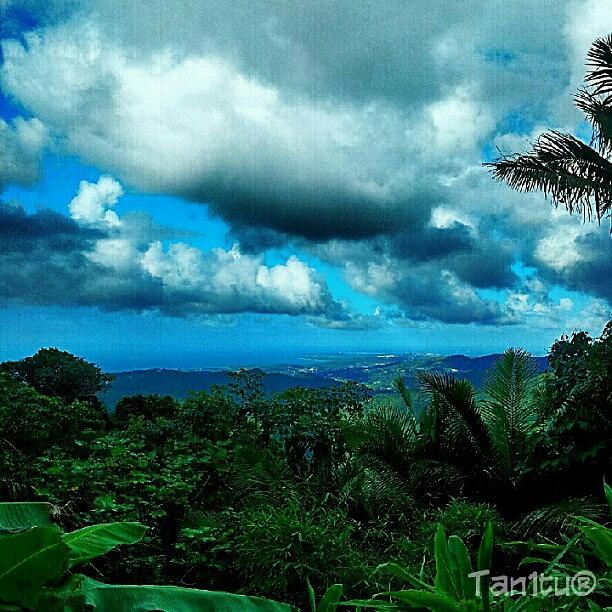Nature Photograph - Bettyboop_pr Trip To El Yunque Rain by Tania Torres