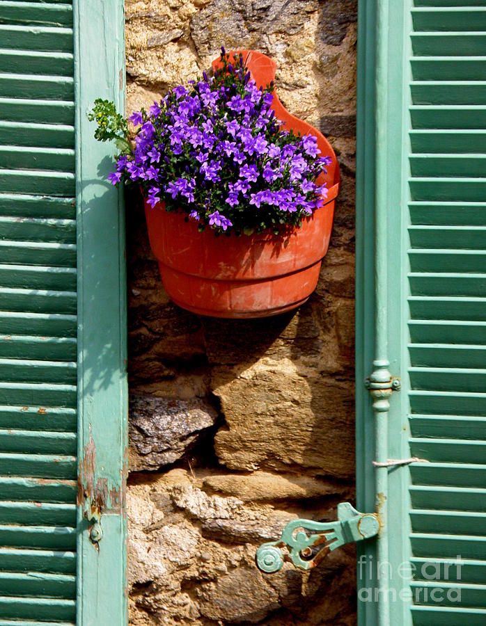 Between Shutters Photograph by Lainie Wrightson