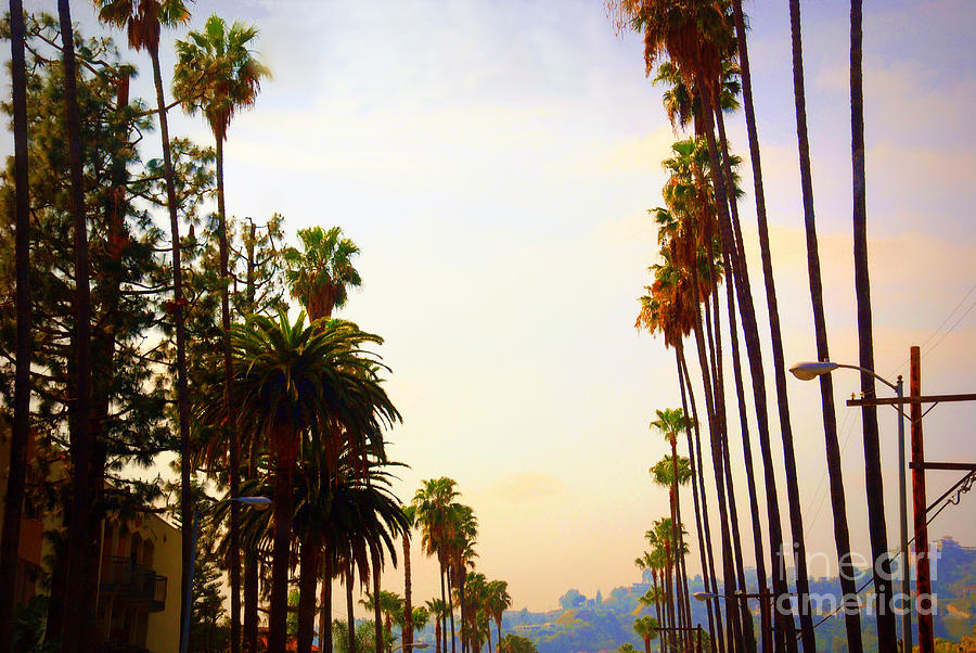 Beverly Hills in LA Photograph by Susanne Van Hulst