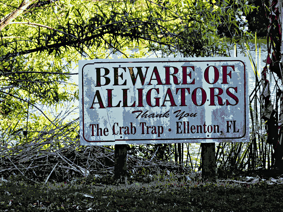Beware of Alligators Photograph by Jo Sheehan