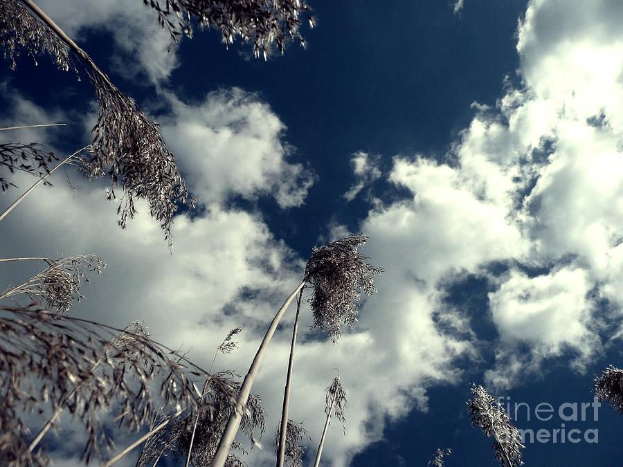 Clouds Photograph - Beyond The Clouds by Scott Allison