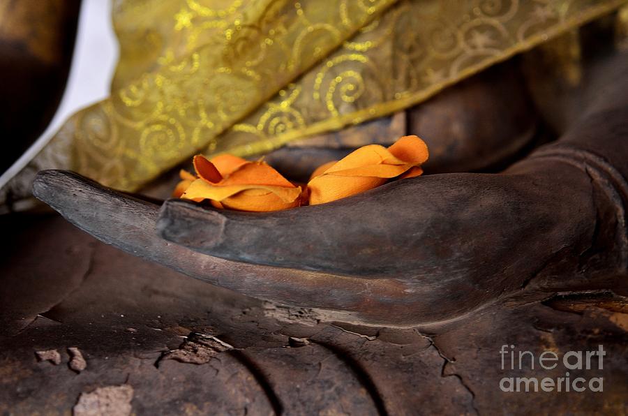 Bhumisparsa Mudra II in Colour Photograph by Dean Harte
