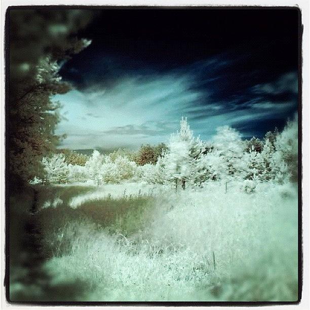 Holiday Photograph - Bialystok, Poland. First Ever Infrared by Magda Nowacka