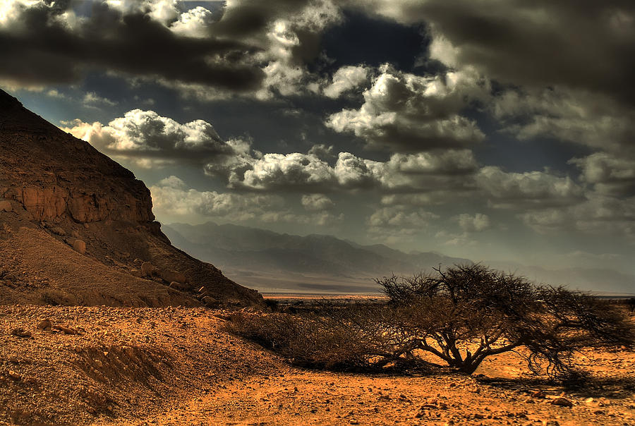 Biblical Desert by Avi Morag