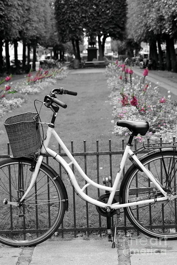 Flower Photograph - Bicycle and Flowers by Sophie Vigneault