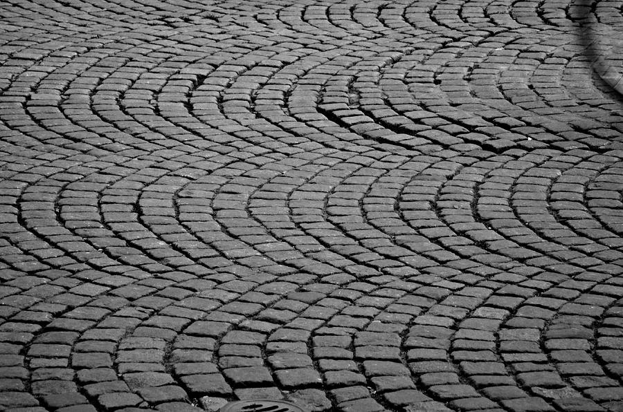 Bicycle Ripples Photograph by Catherine Murton