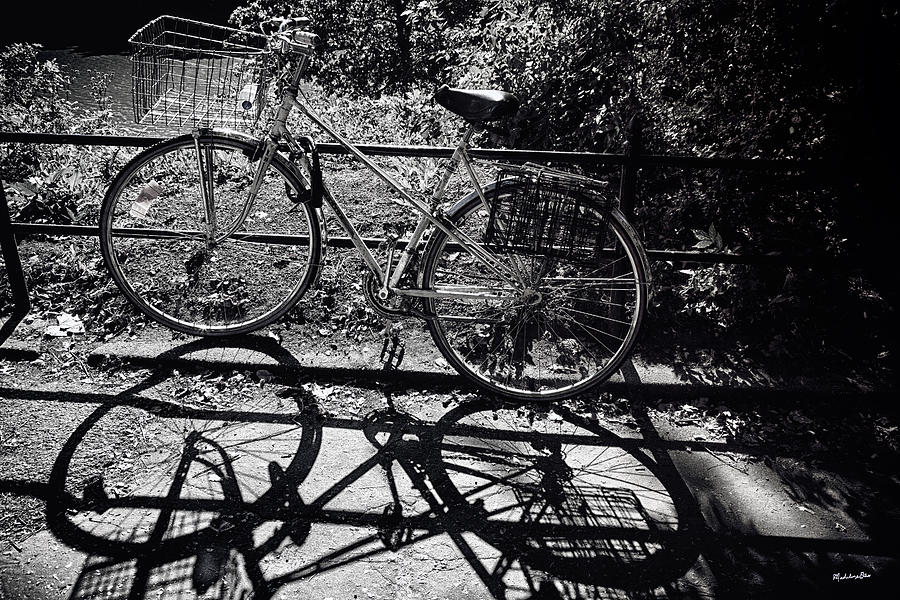 Bicycle Shadow 1 Photograph by Madeline Ellis