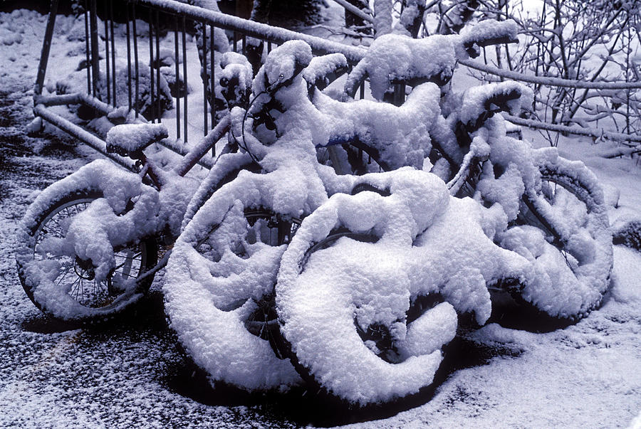 Bicycles Covered With Snow Photograph by Garry Gay