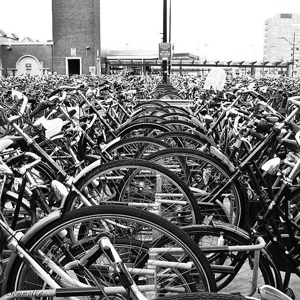 Bicycle Photograph - Bicycles. Nijmegen Netherlands 2010 by Gianluca Sommella