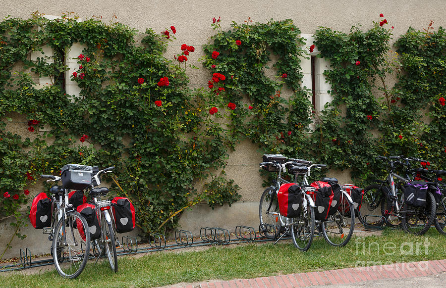 Bicycles Parked by the Wall Photograph by Louise Heusinkveld