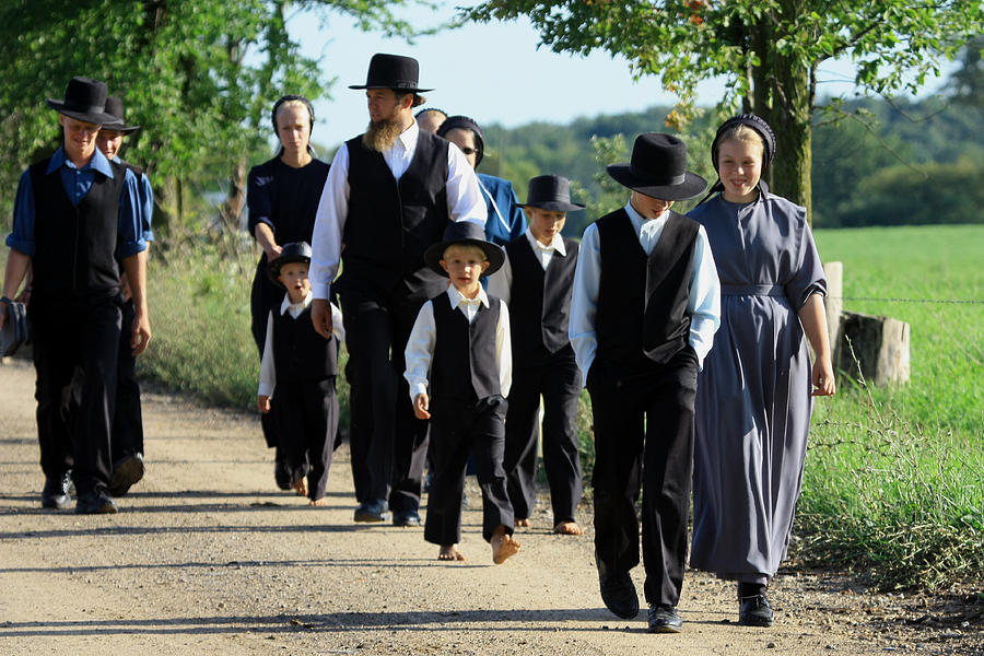 Big Amish Family Photograph by Dennis Pintoski - Pixels