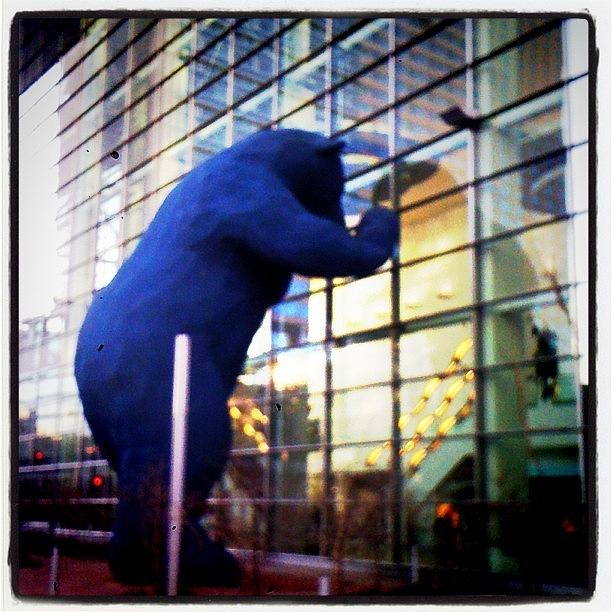 Denver Photograph - Big Blue Bear At Denver Convention by Oliver Kuy