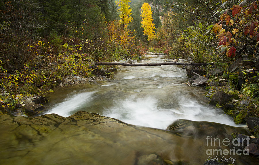 Big Creek Photograph by Idaho Scenic Images Linda Lantzy