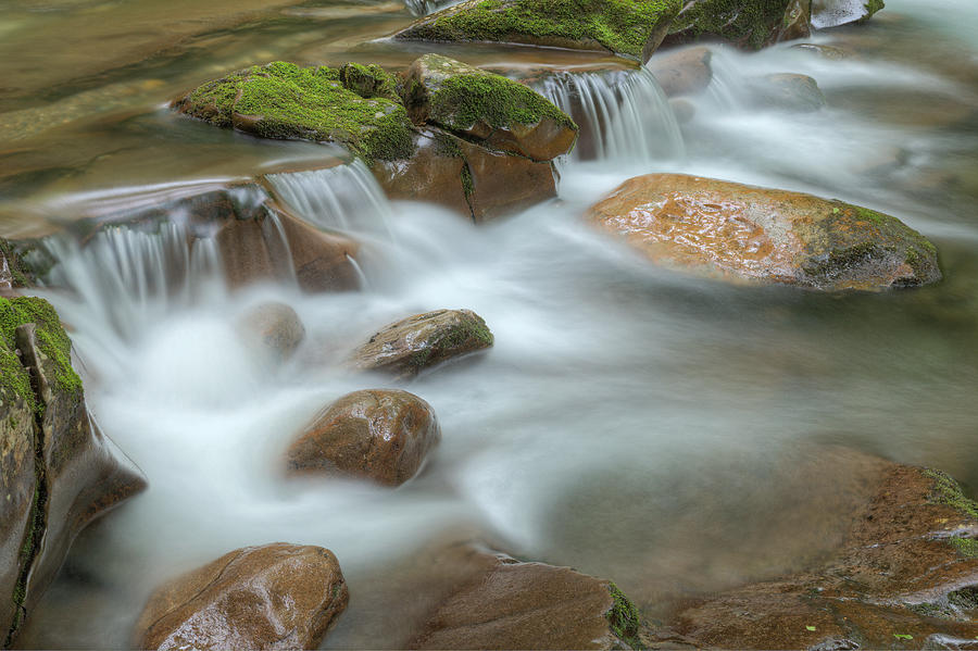 Big Creek Smoky Mountains Photograph