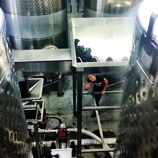 Big Day For Wine Making Here At Photograph by Mike Silva
