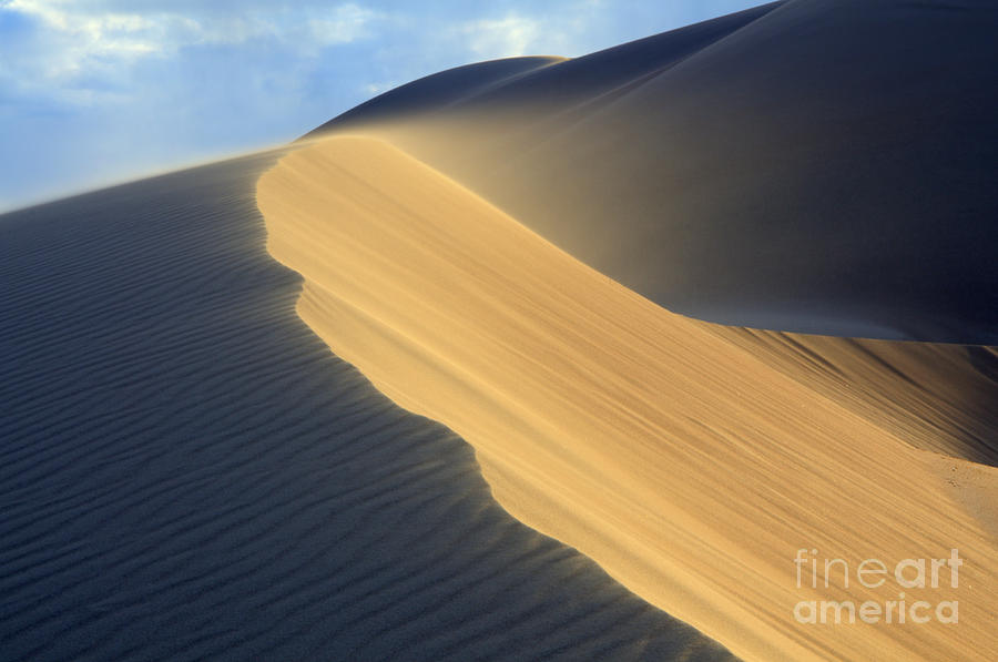 Big Dune Nevada Photograph by Bob Christopher