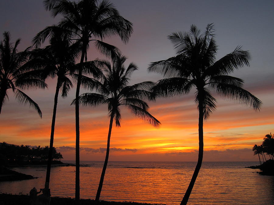 Big Island Sunset Photograph by Jim Ferrier - Fine Art America