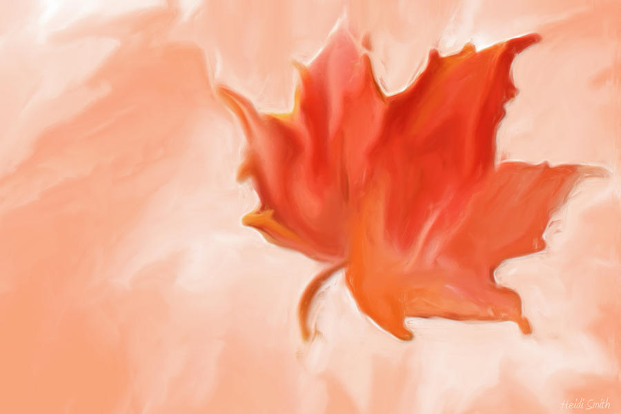 Big Leaf Maple Painting by Heidi Smith
