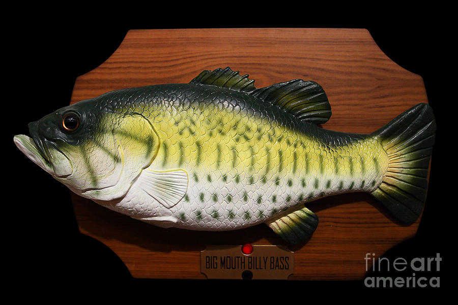 Bass Photograph - Big Mouth Billy Bass . 7D13533 by Wingsdomain Art and Photography