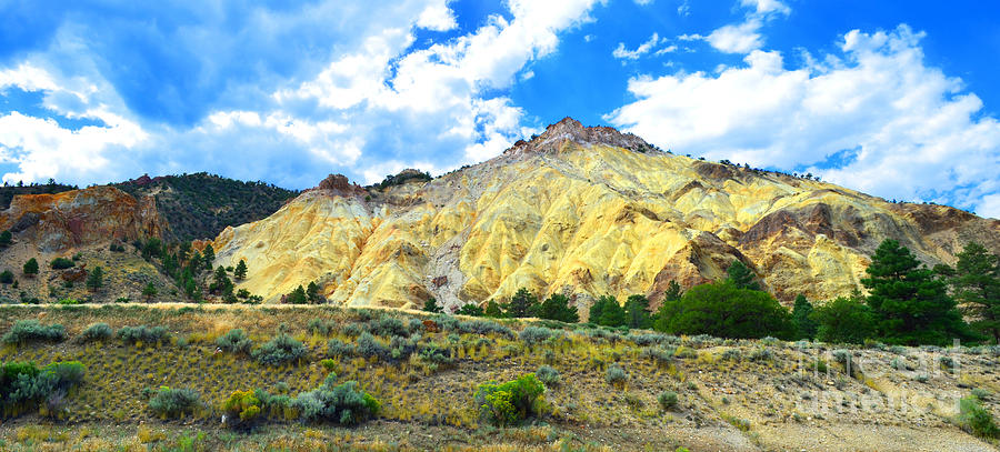 Big Rock Candy Mountain - Utah Photograph by Donna Greene