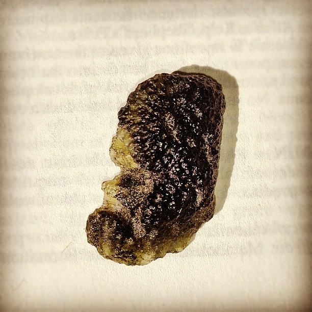 @big_dog01 This Is The Moldovite Piece Photograph by Emma Warrener