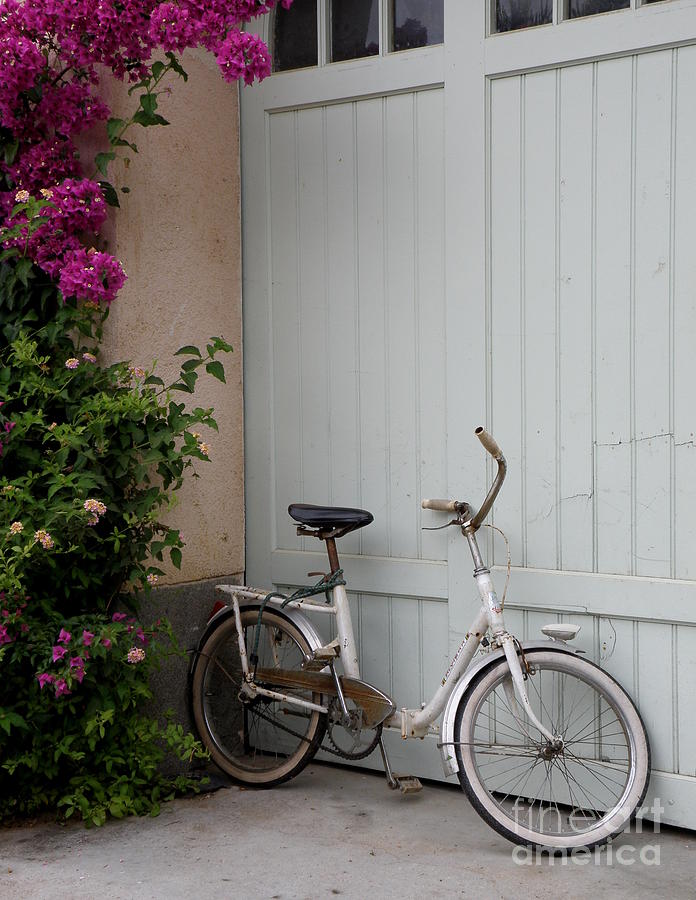 Bike and Bougainvillea Photograph by Lainie Wrightson