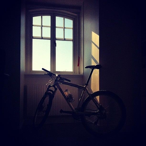 Summer Photograph - Bike and window by Mikael Andersson