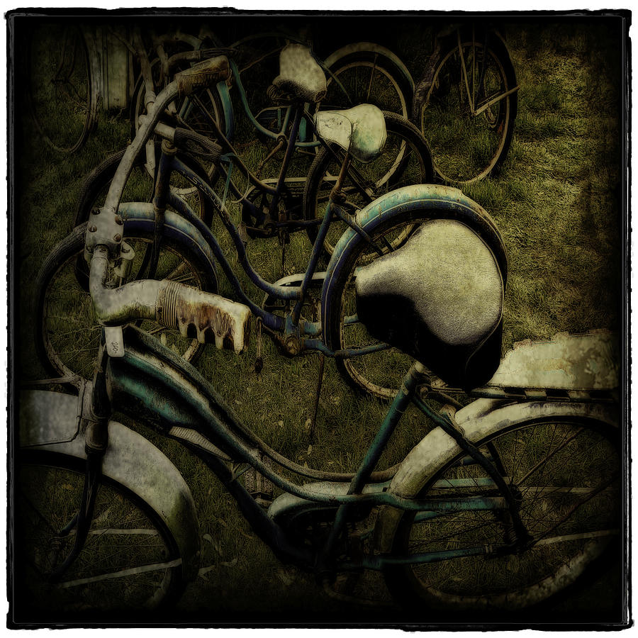 Central Park Photograph - Bike Graveyard by Jerry Golab
