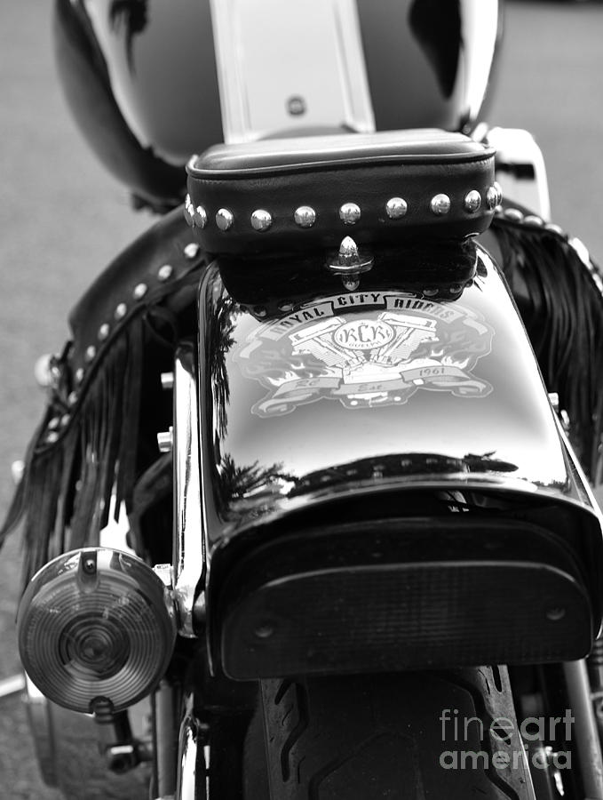 Motorcycle Photograph - Bike Me by Traci Cottingham