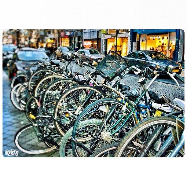 Yellow Photograph - #bike #netherlands #igerstravellers by Gennadiy S