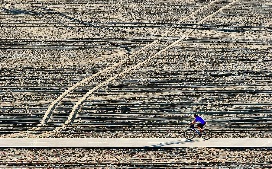 Bike Path In Santa Monica Photograph by Endre Balogh