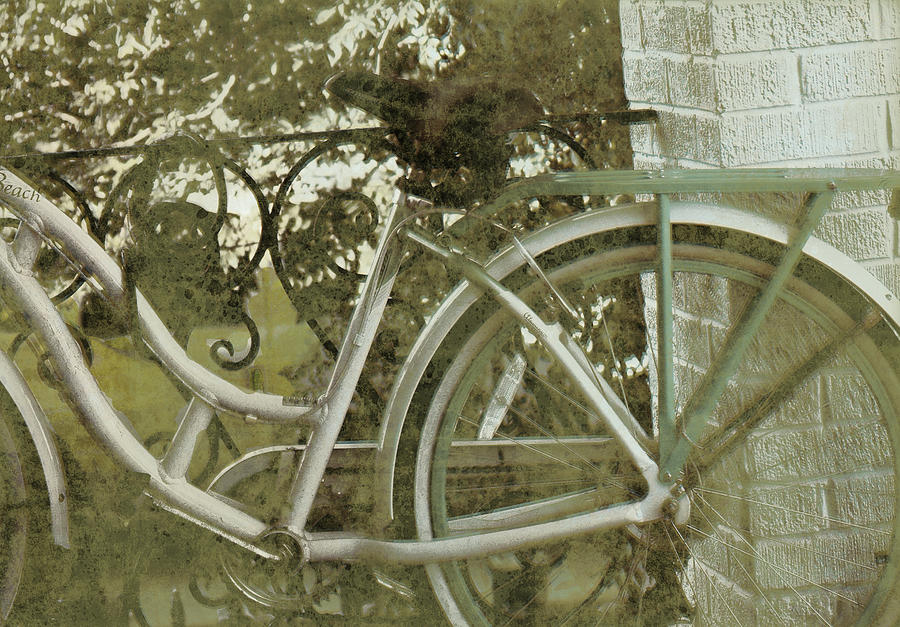Bike Photograph by Shelley Bain