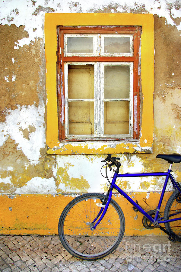 Transportation Photograph - Bike Window by Carlos Caetano