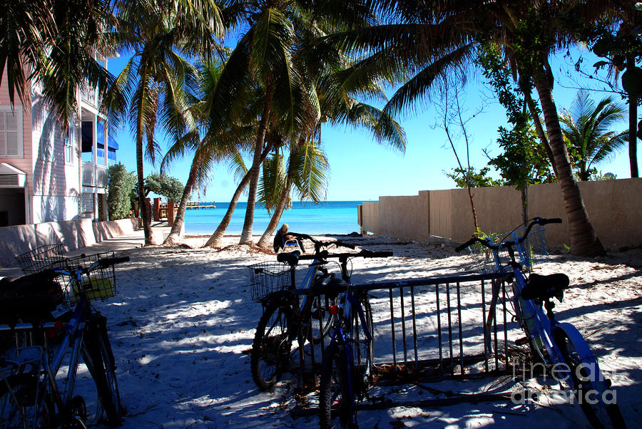 Bikes at Dogs Beach in Key West Photograph by Susanne Van Hulst