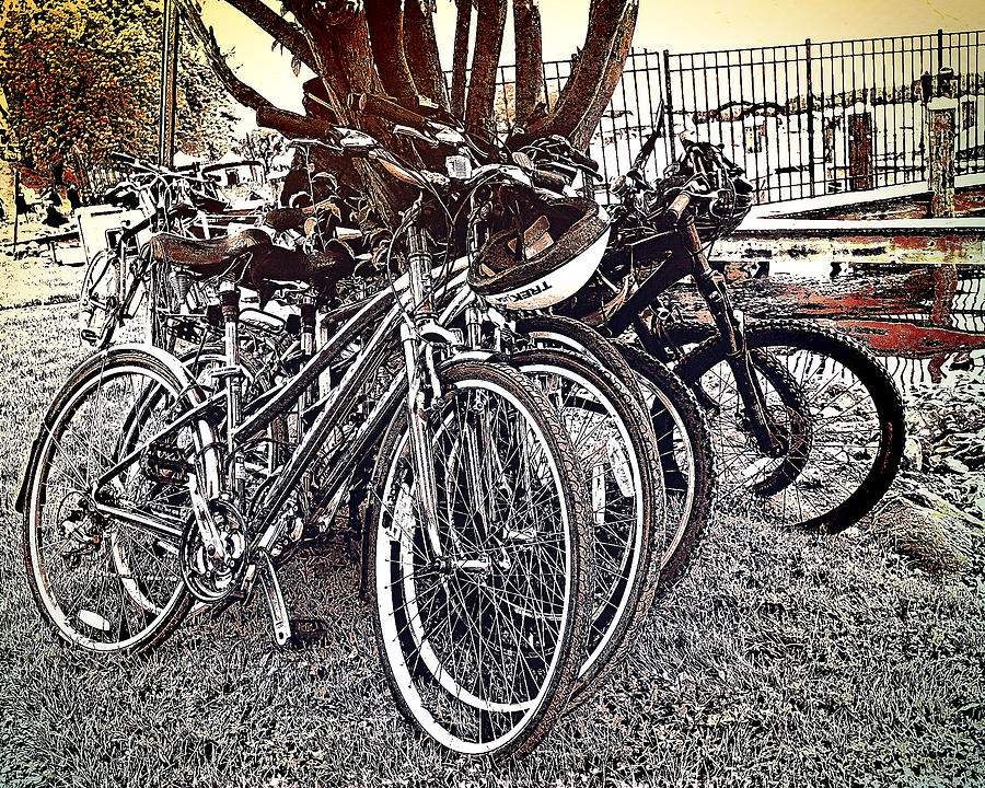Bikes at Excelsior Park Digital Art by Susan Stone