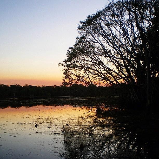 Nature Photograph - #billabong #sunset #kakadu by Nicole Spillane