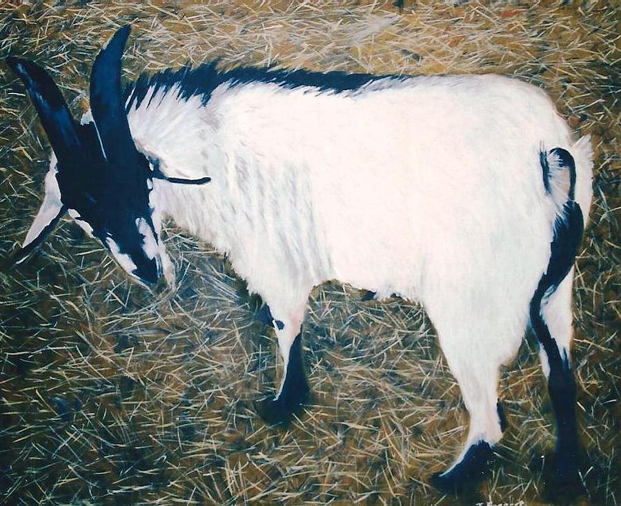 Billy Goat Painting by Terry Forrest | Fine Art America