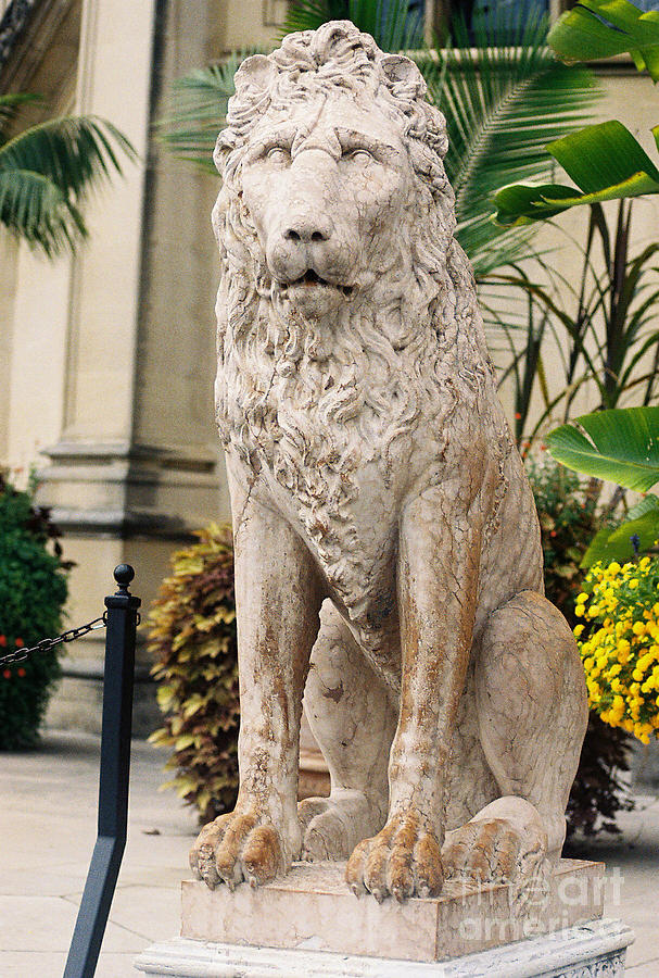 Biltmore Estate - Lion Photograph by Sherrie Winstead