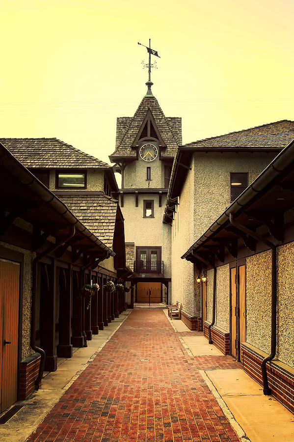 Biltmore Estate Winery Photograph By Maxim Sivyi