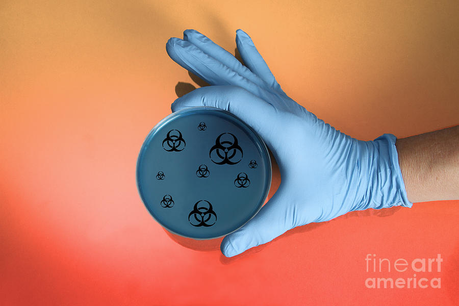 Biohazard Petri Dish Photograph by Photo Researchers