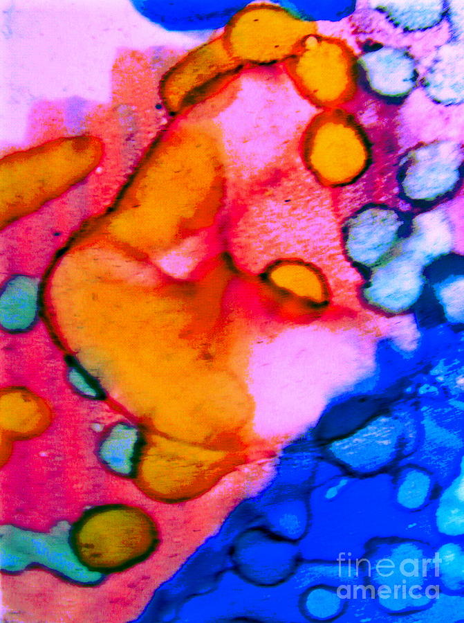 Abstract Mixed Media - Biology of Passion by Rory Siegel