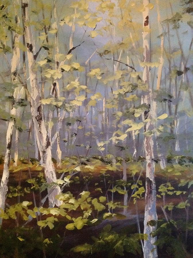 Birch Forest Painting by Sandra Strohschein