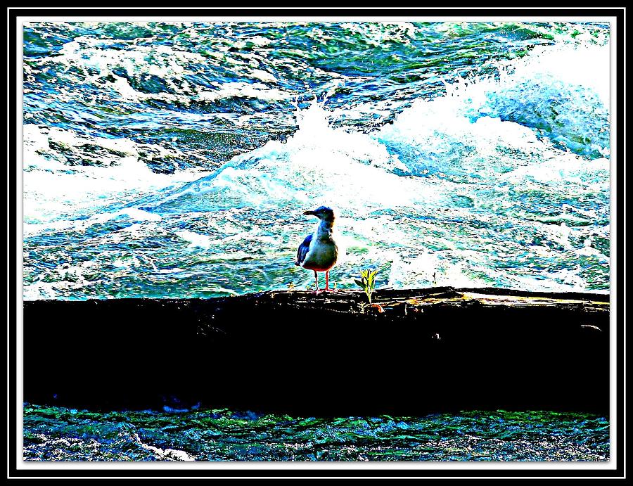 Bird And The Sea Photograph by Anand Swaroop Manchiraju