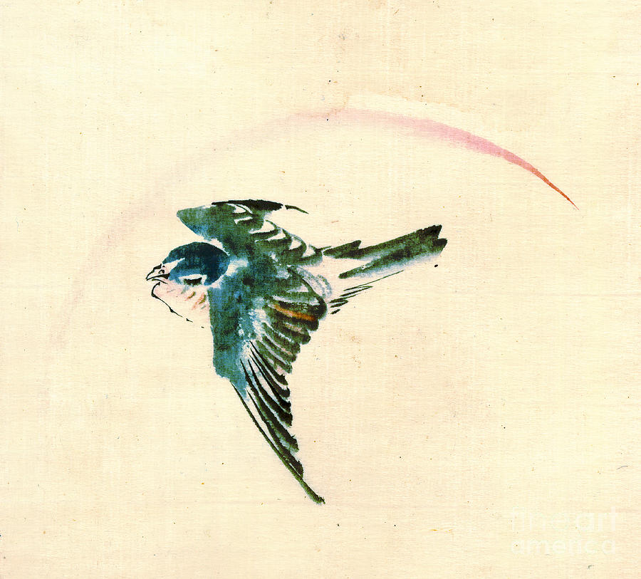 Bird Flying 1840 Photograph by Padre Art