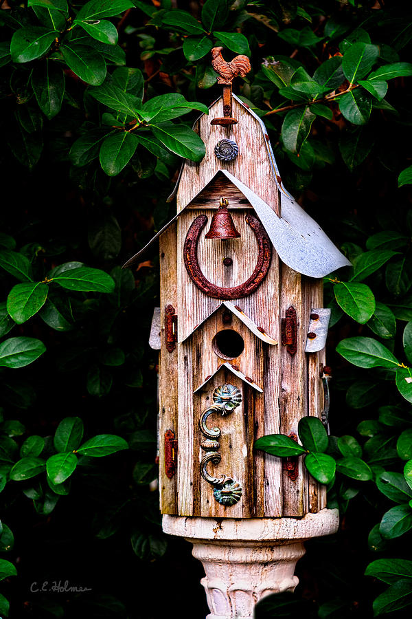Bird House Photograph by Christopher Holmes