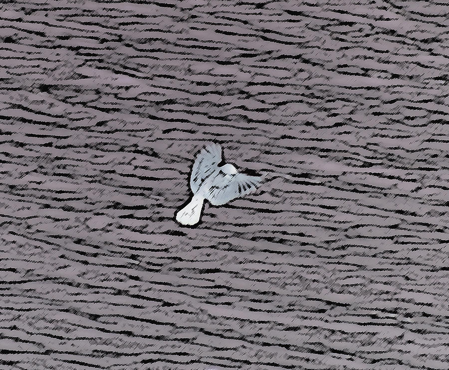 Abstract Digital Art - Bird In Flight by Bill Kennedy Abstract Digital Art - Bird In Flight by Bill Kennedy
