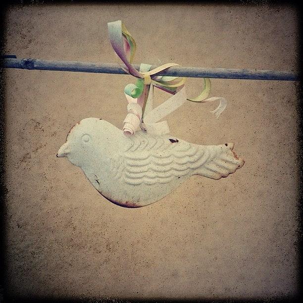 Vintage Photograph - #bird #iron #decoration #oldies #rust by Val Lao